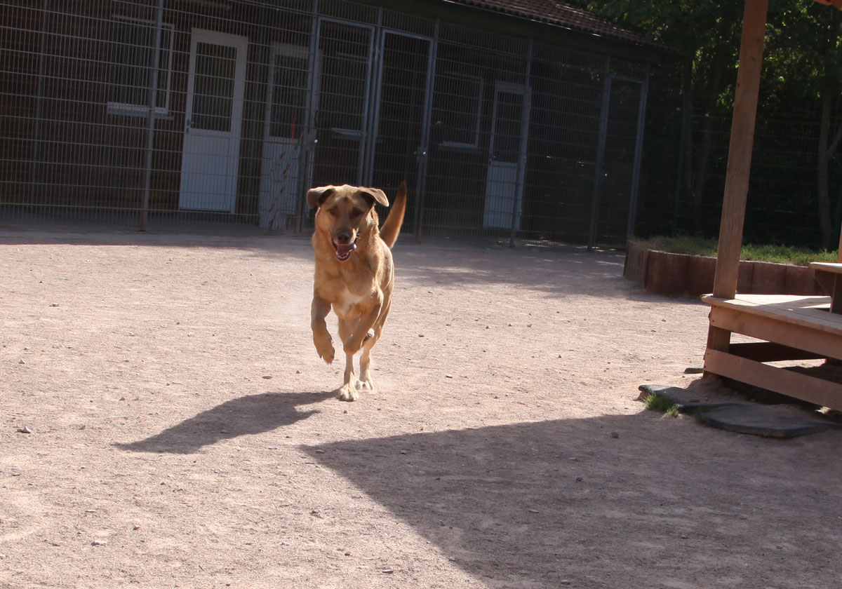 neues Foto Oktober 2025