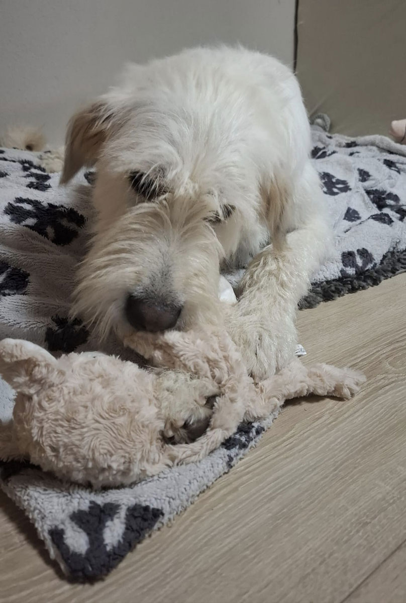 neues Foto Oktober 2025