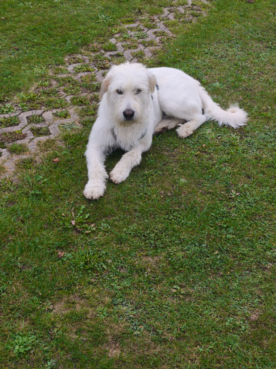 neues Foto Oktober 2025