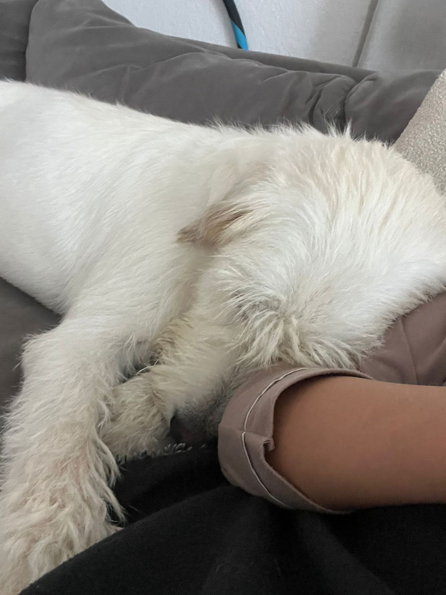 neues Foto Oktober 2025