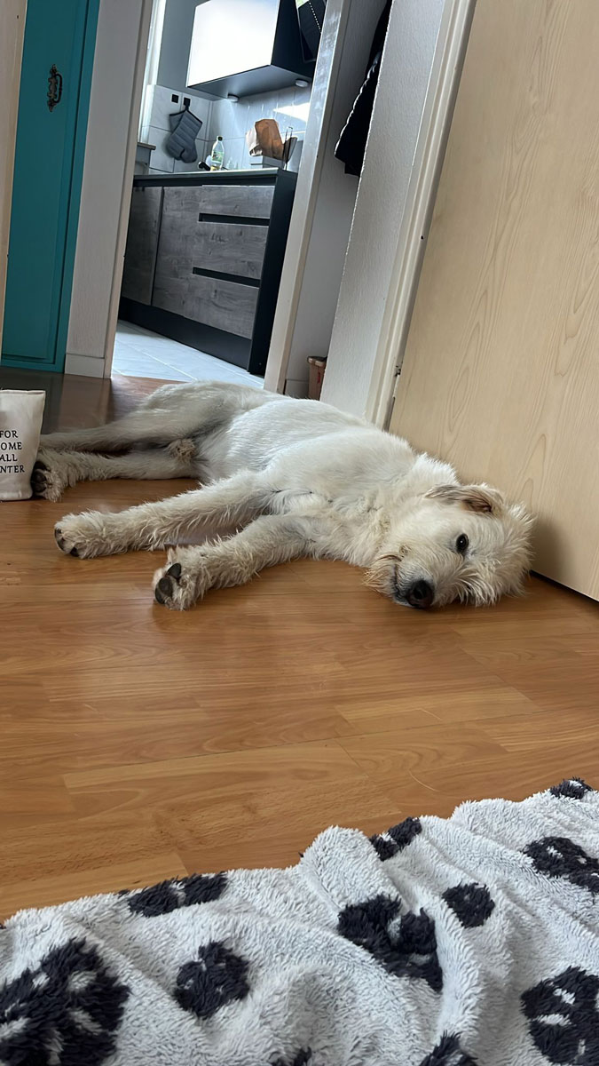 neues Foto Oktober 2025