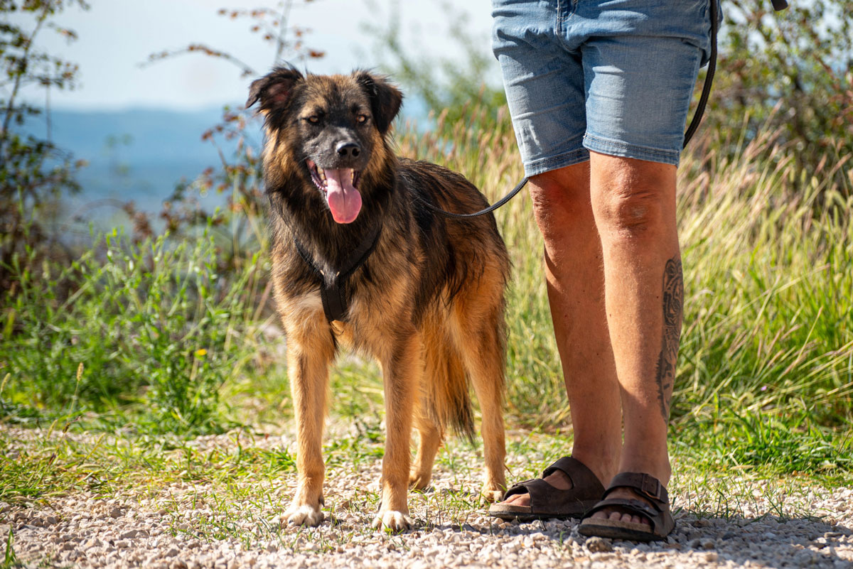 neues Foto Oktober 2025