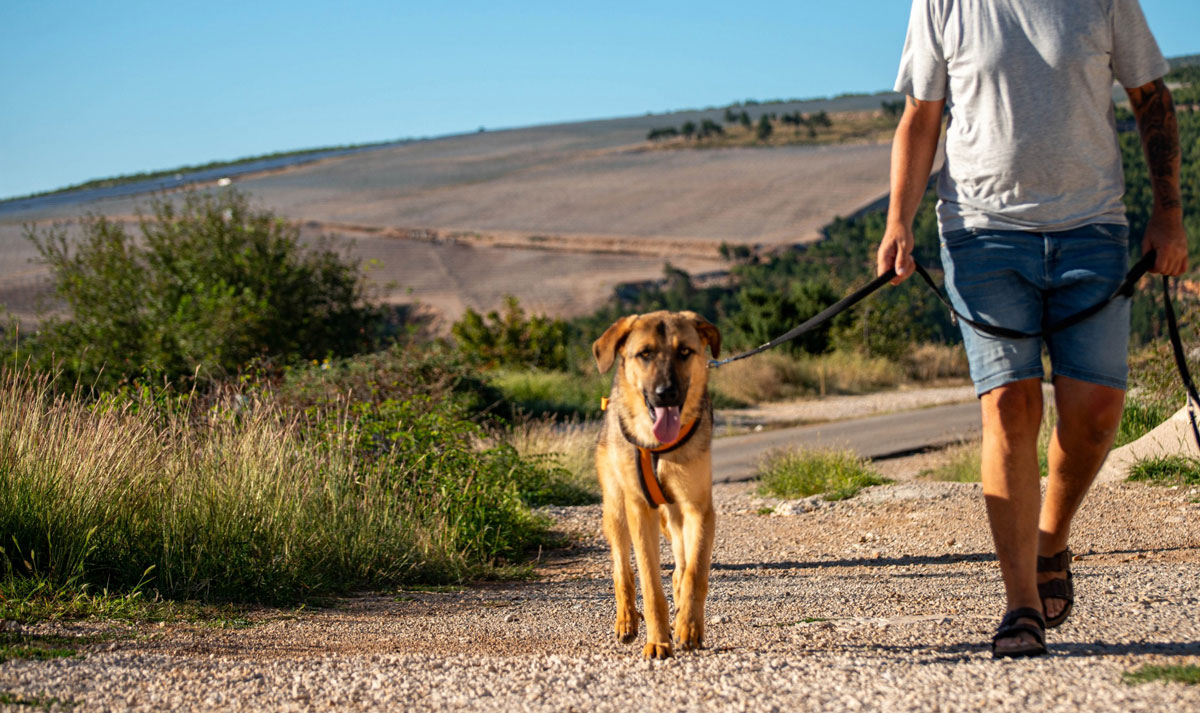 neues Foto Oktober 2025