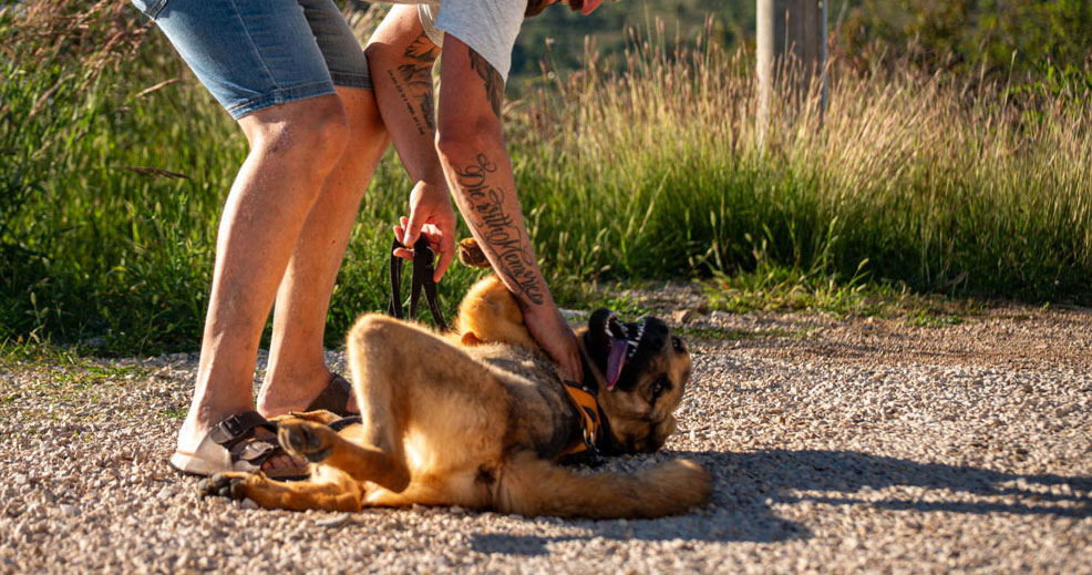 neues Foto Oktober 2025