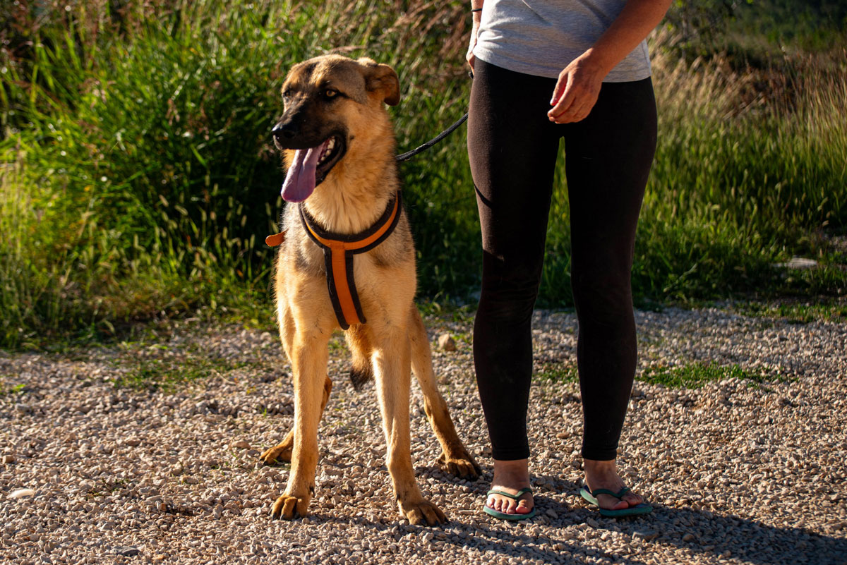 neues Foto Oktober 2025