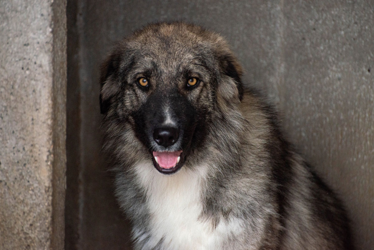 neues Foto Oktober 2025