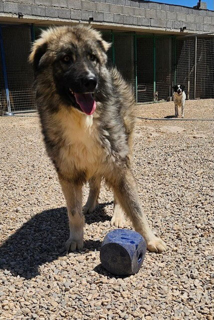 neues Foto Oktober 2025