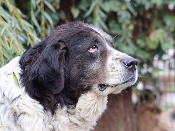 neues Foto Oktober 2025