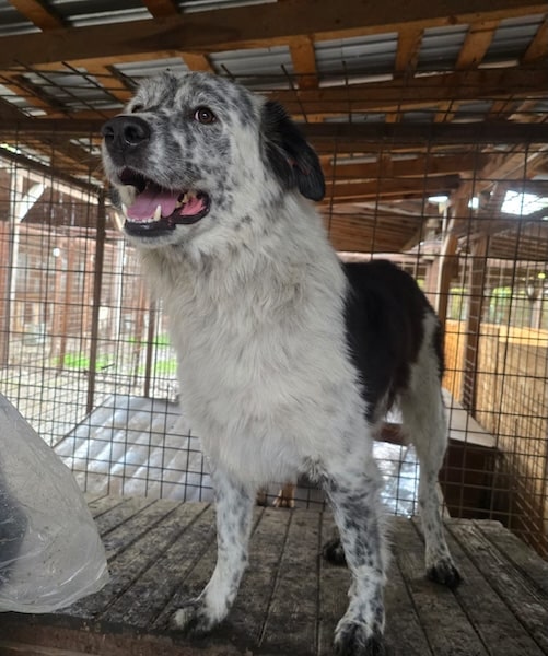 neues Foto Oktober 2025