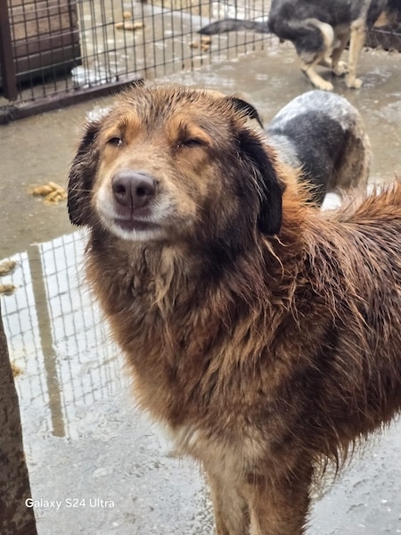 neues Foto Oktober 2025