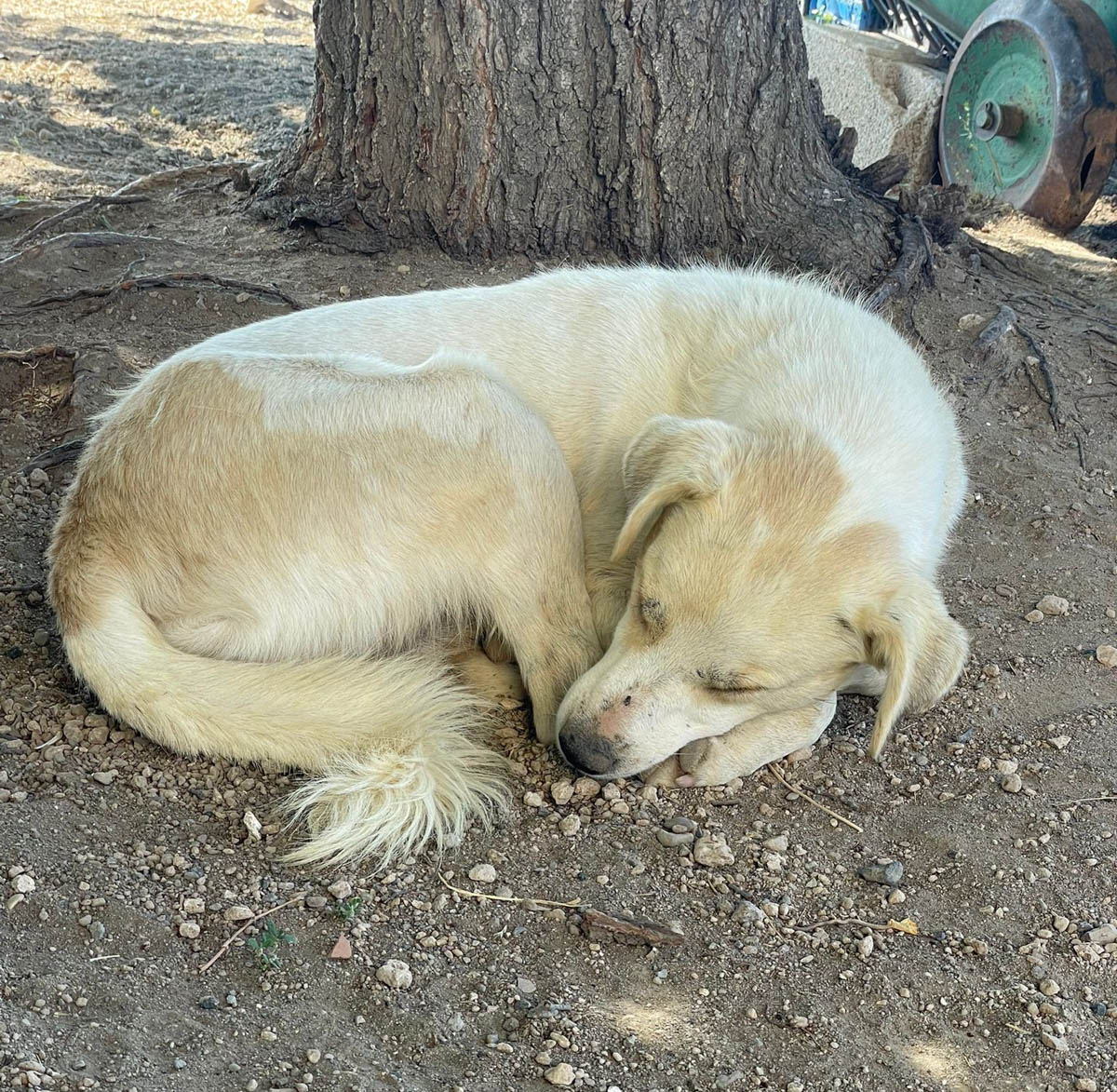 neues Foto Dezember 2025