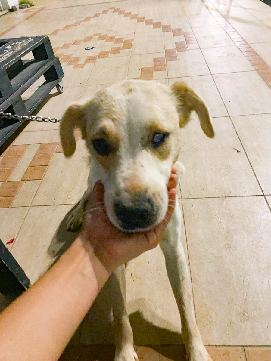 neues Foto Dezember 2025