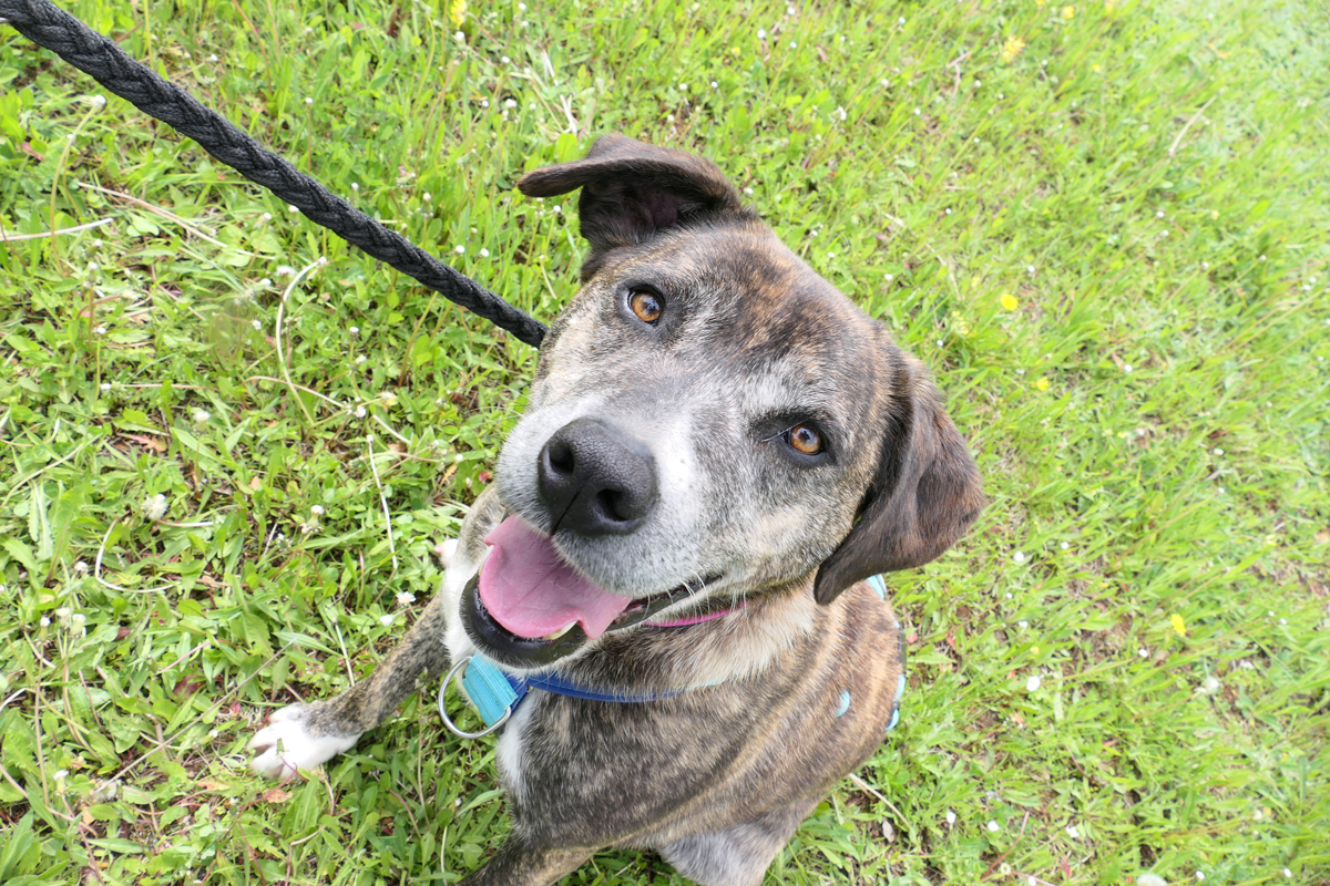 neues Foto Oktober 2025