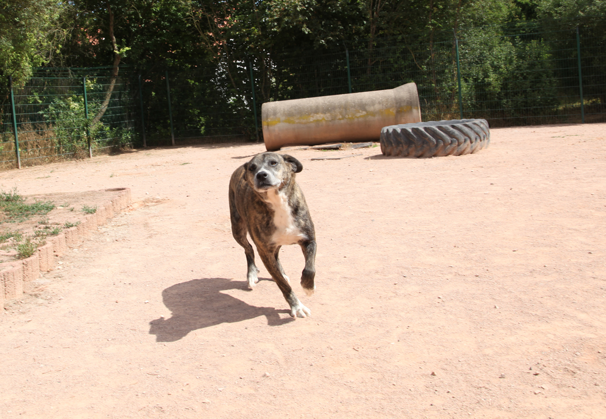 neues Foto Oktober 2025