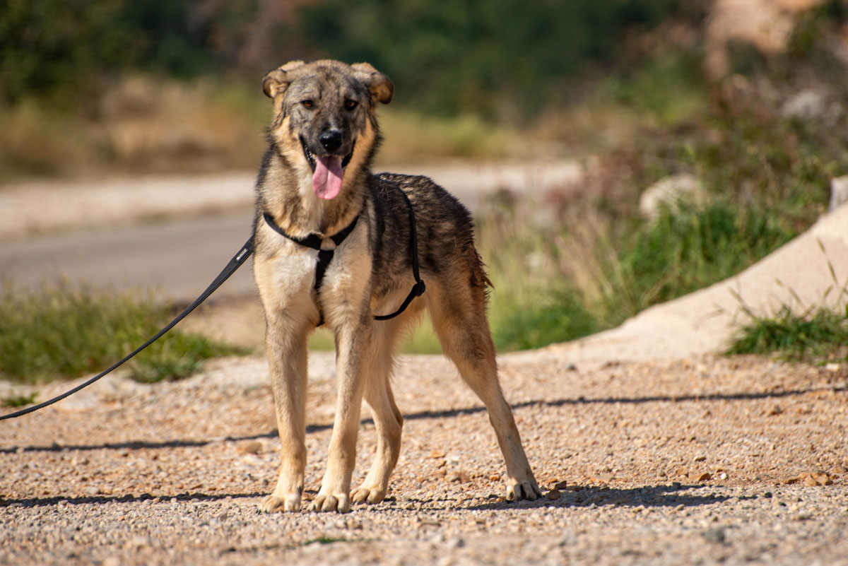 neues Foto Oktober 2025