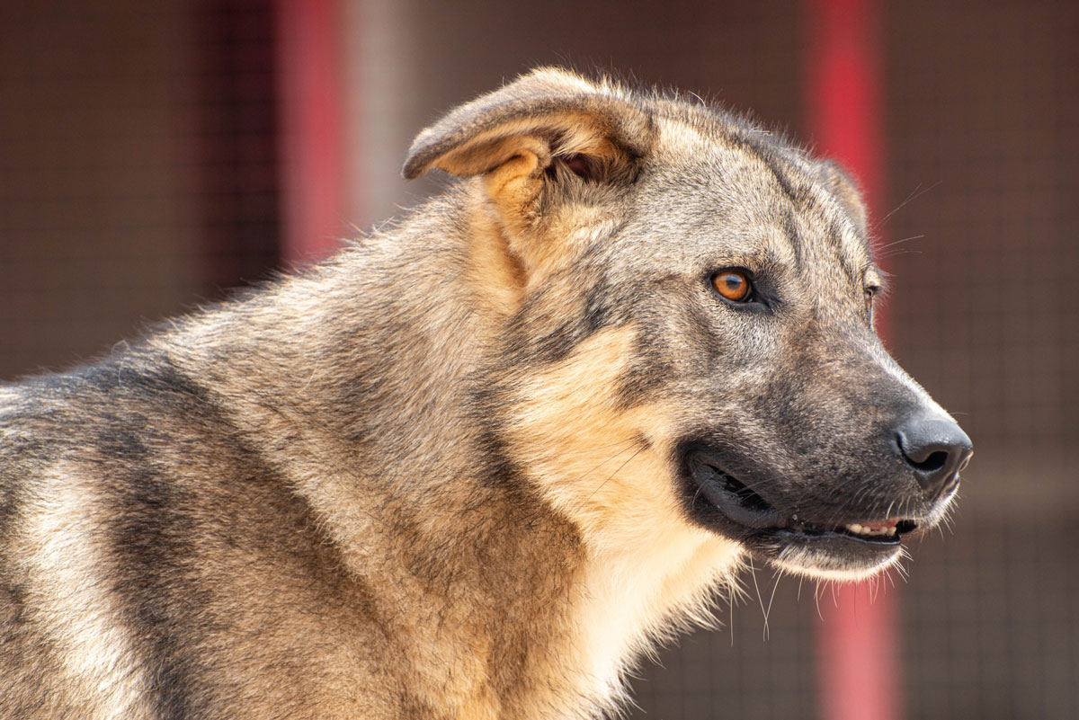 neues Foto Oktober 2025