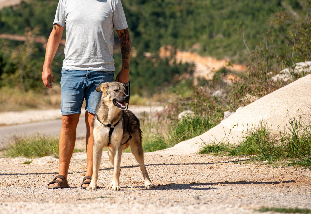 neues Foto Oktober 2025