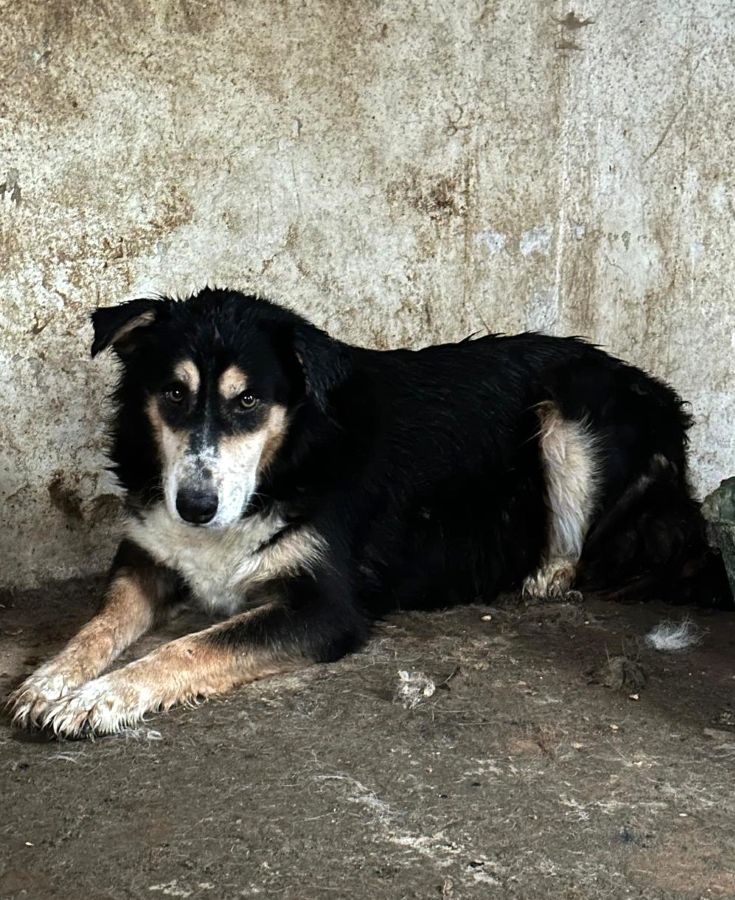 neues Foto Oktober 2025