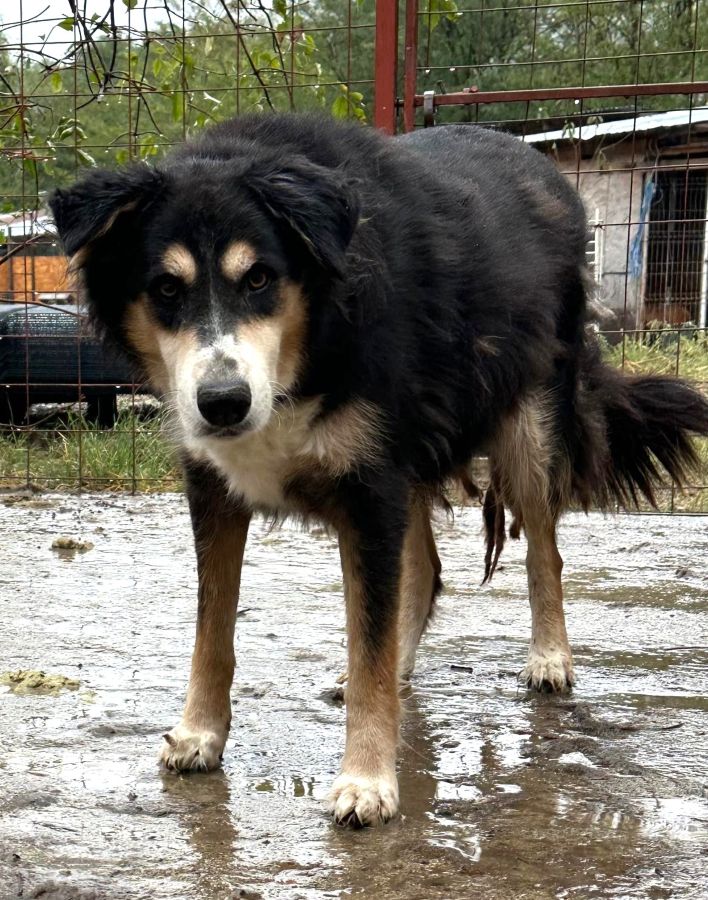 neues Foto Oktober 2025