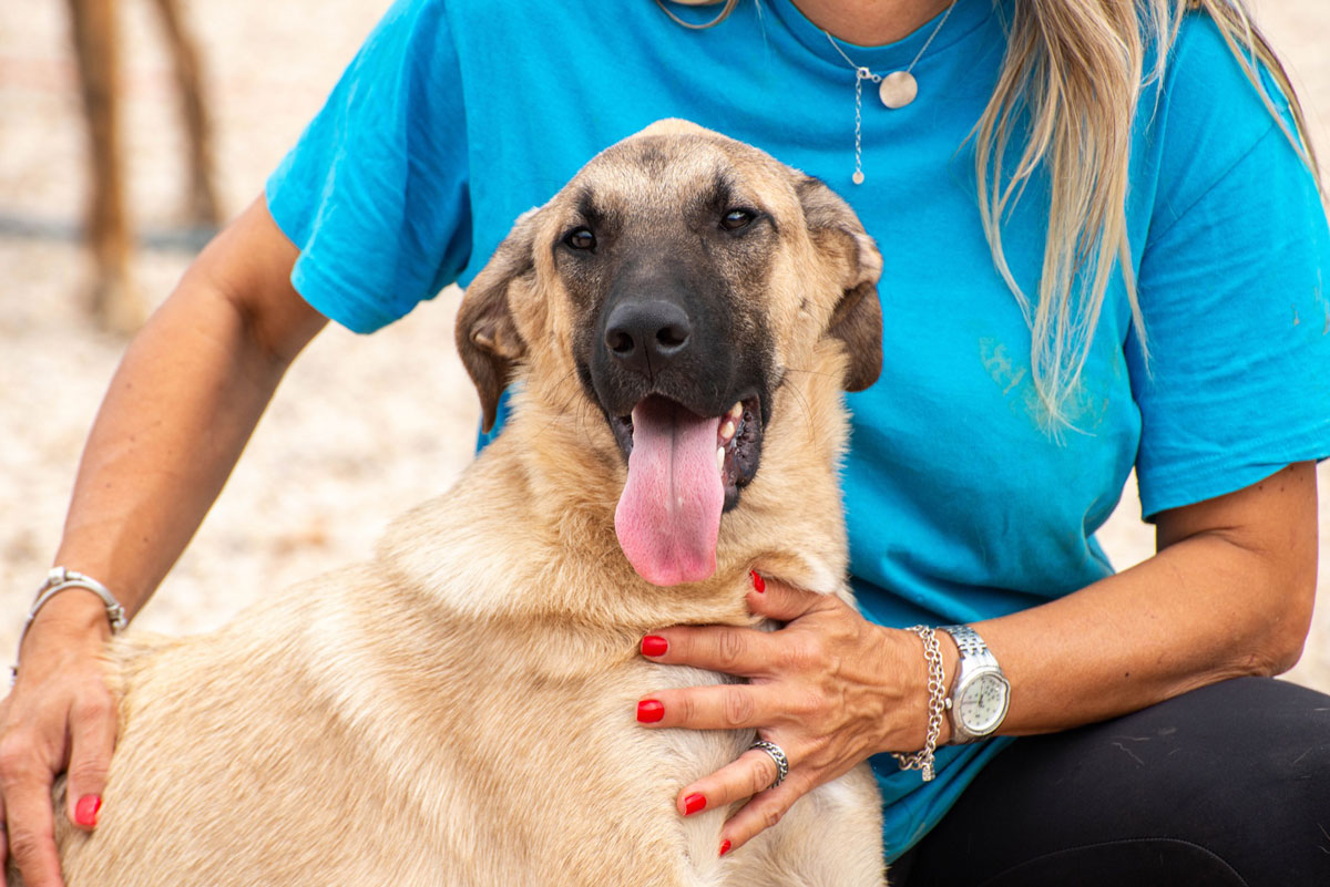 neues Foto Oktober 2025