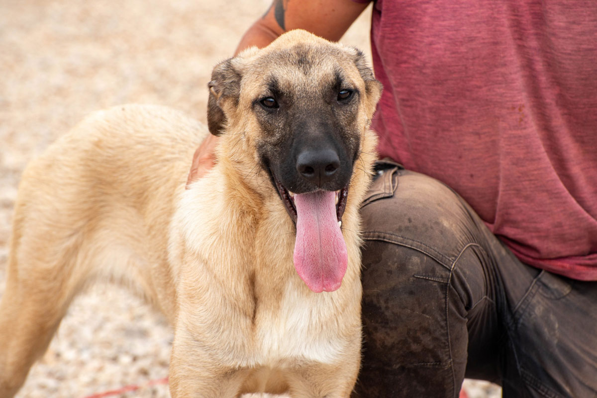 neues Foto Oktober 2025