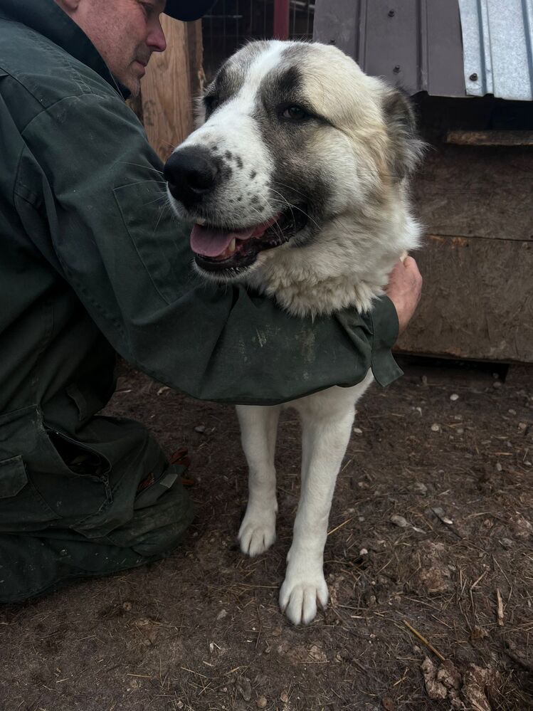 neues Foto Oktober 2025