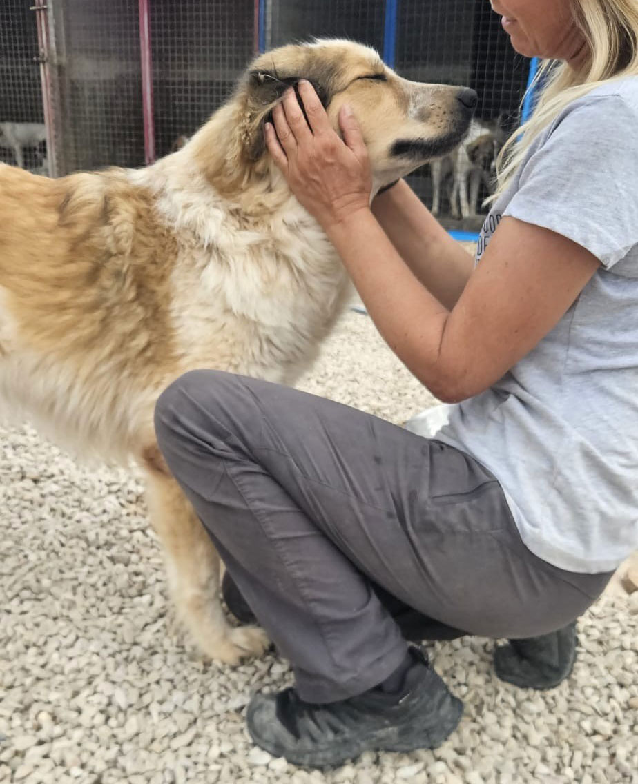 neues Foto Oktober 2025