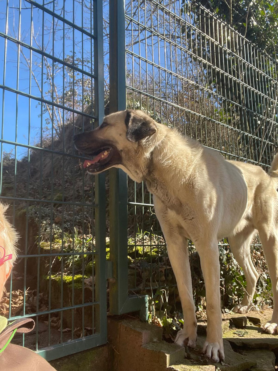 neues Foto Oktober 2025