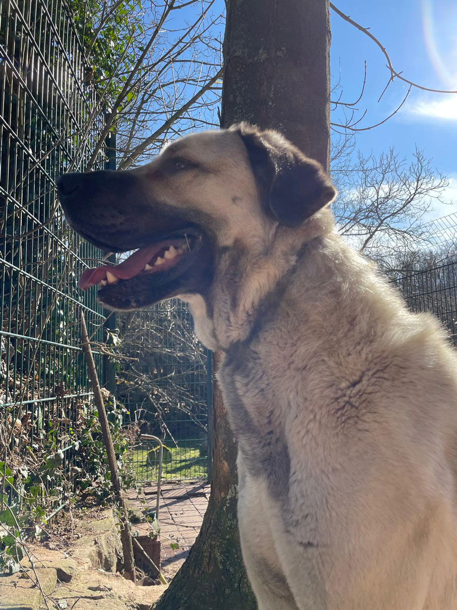 neues Foto Oktober 2025