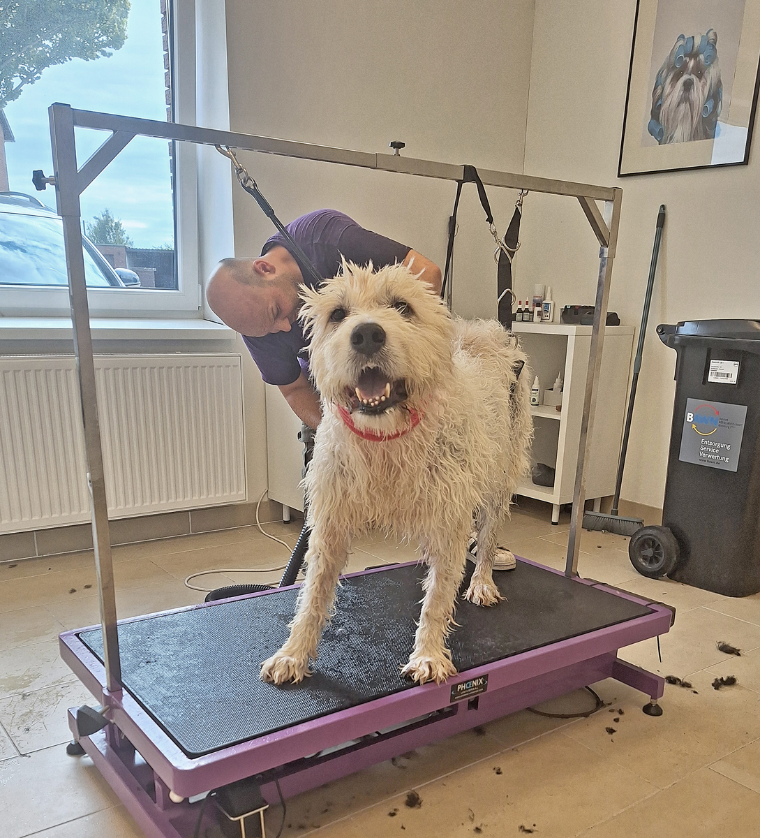 neues Foto Oktober 2025