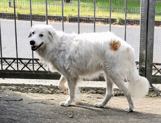 neues Foto November 2025