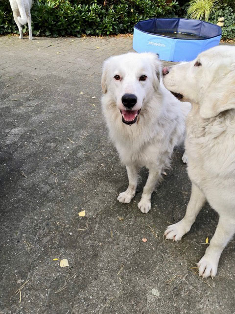 neues Foto November 2025