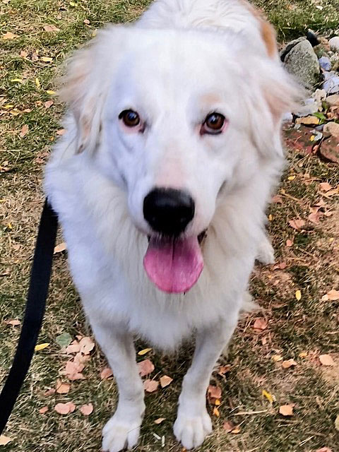 neues Foto November 2025