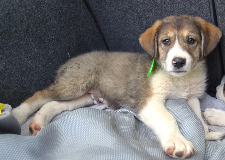 neues Foto November 2025 - Whisky