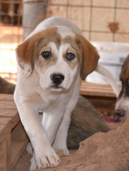 neues Foto November 2025 - Sweet