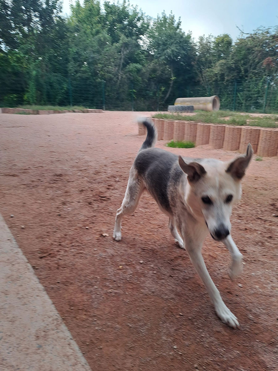 neues Foto November 2025