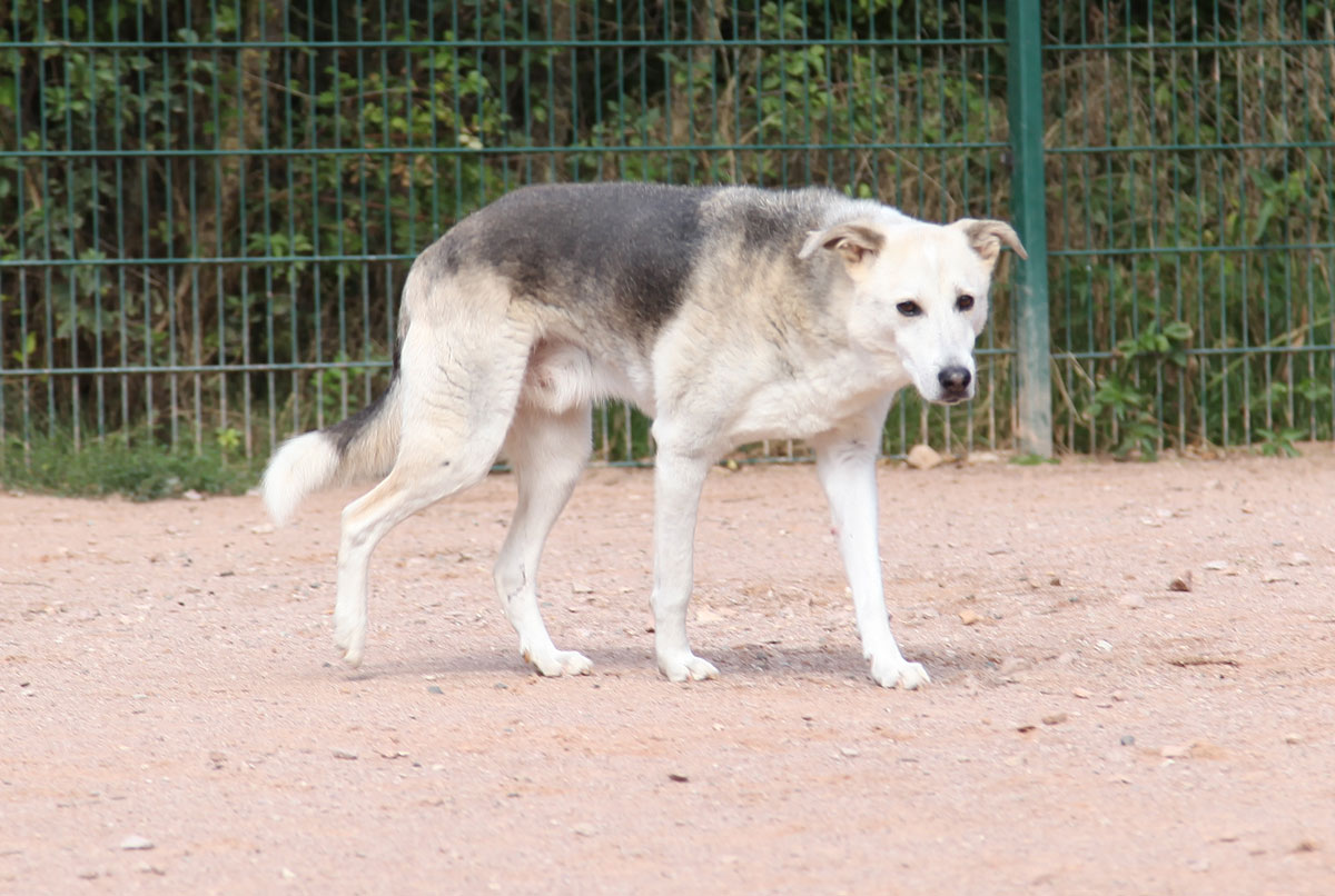 neues Foto November 2025