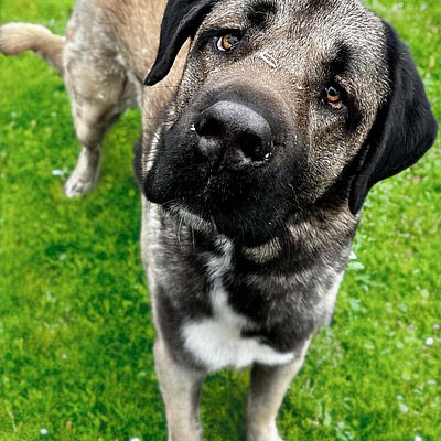 neues Foto November 2025