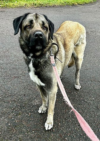 neues Foto November 2025