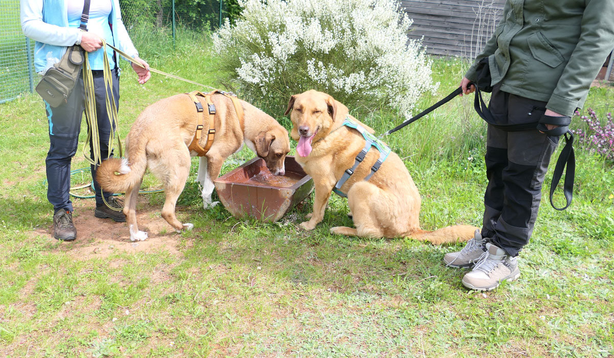 neues Foto November 2025