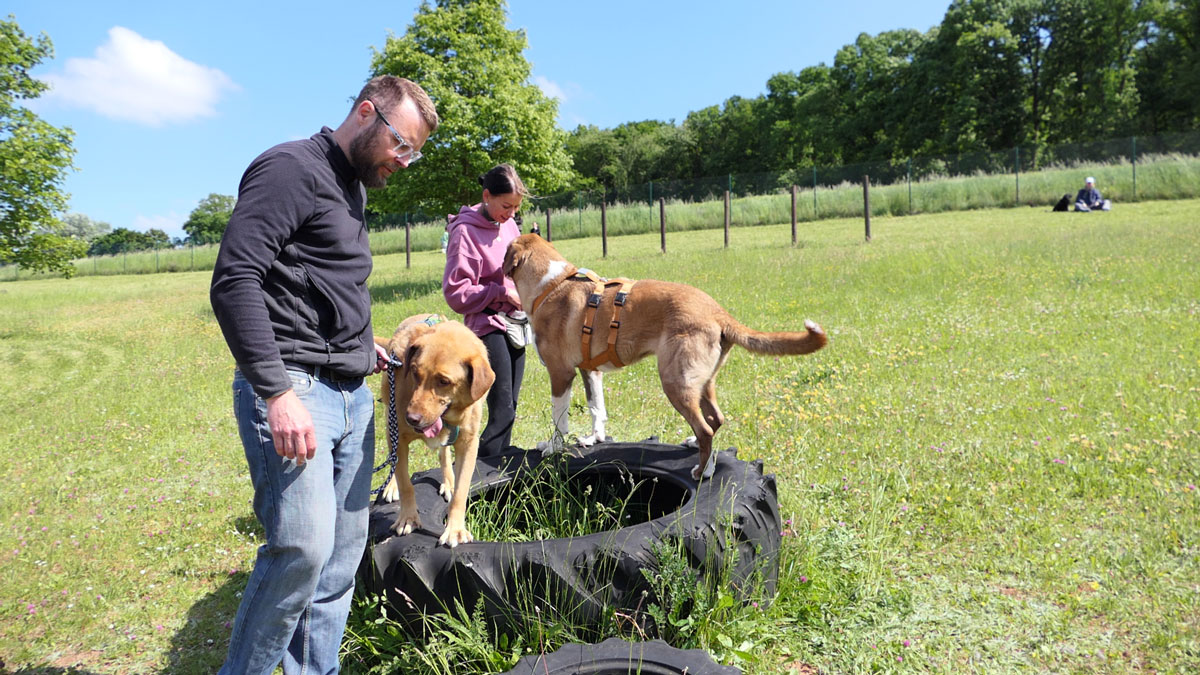 neues Foto November 2025