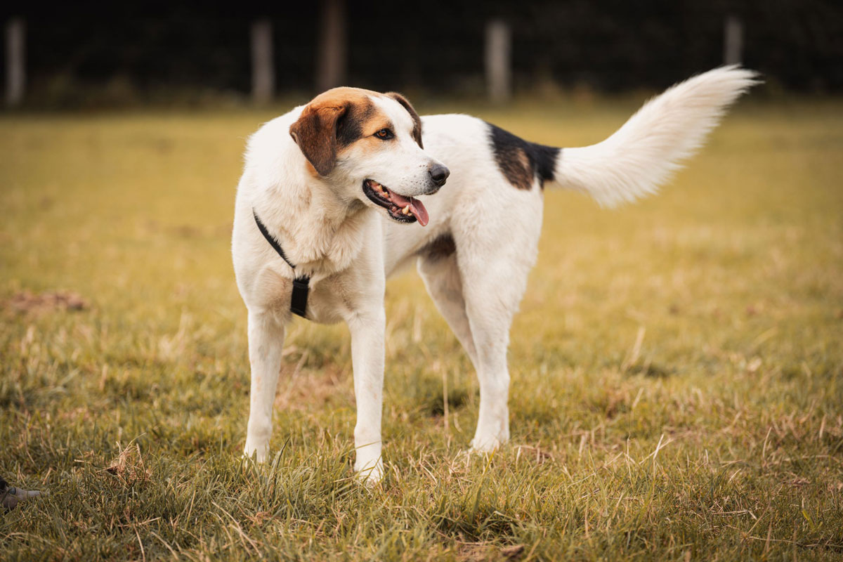 neues Foto November 2025