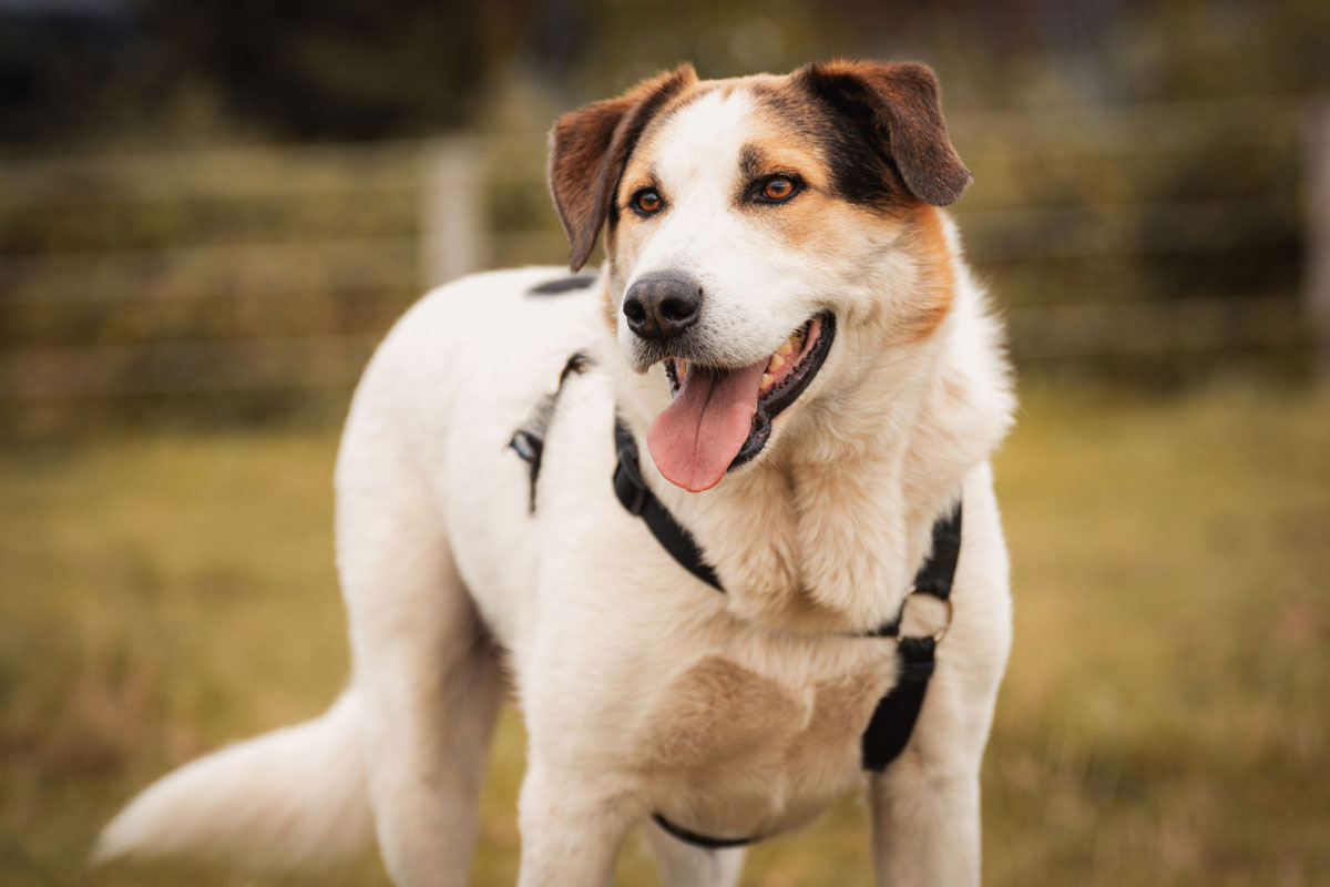 neues Foto November 2025