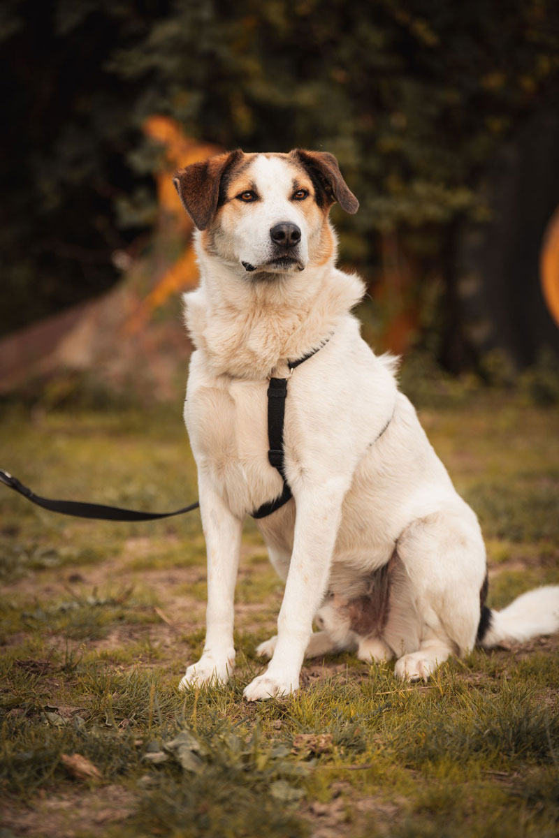 neues Foto November 2025