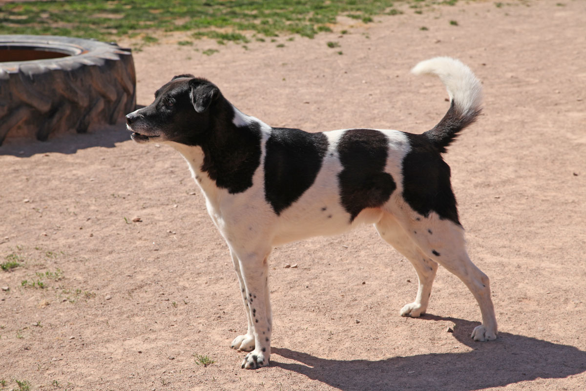 neues Foto November 2025