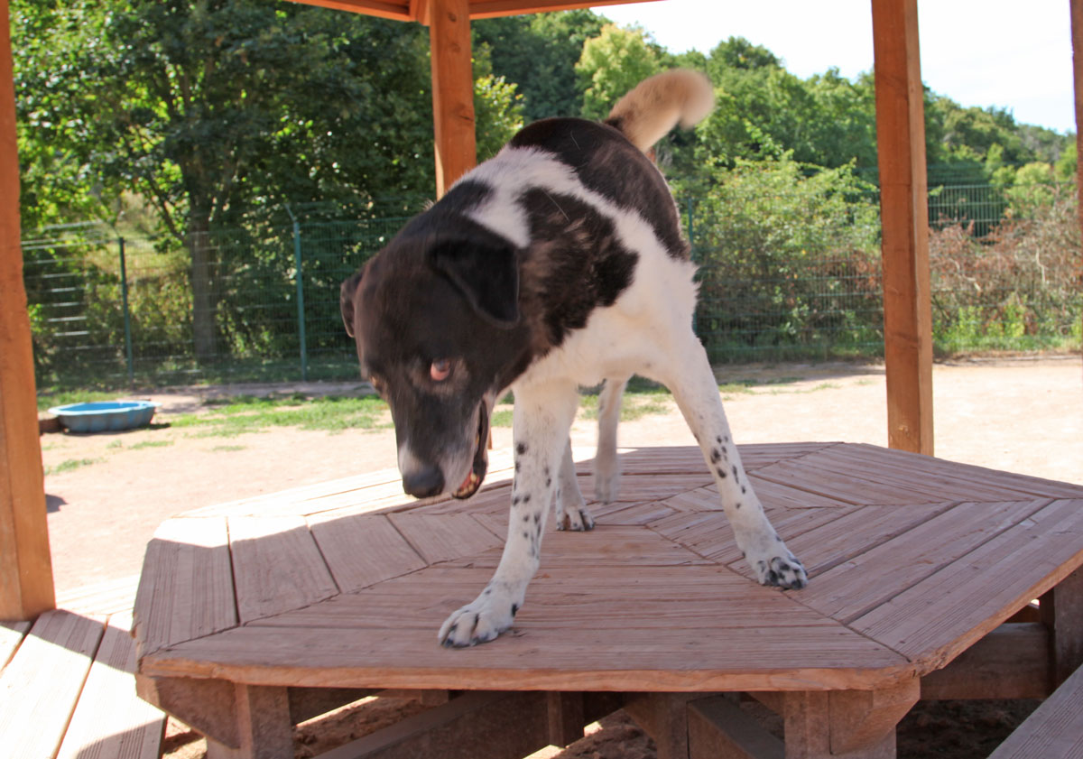 neues Foto November 2025