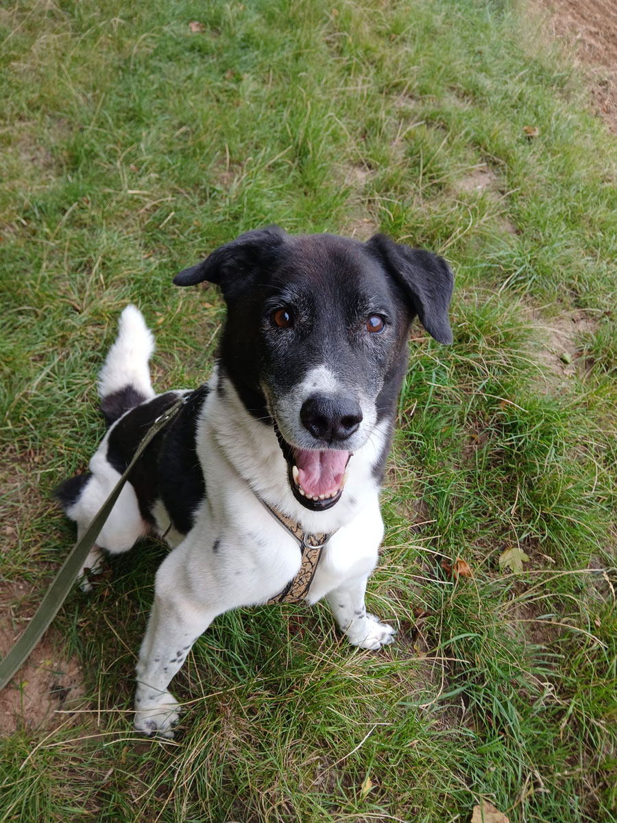 neues Foto November 2025