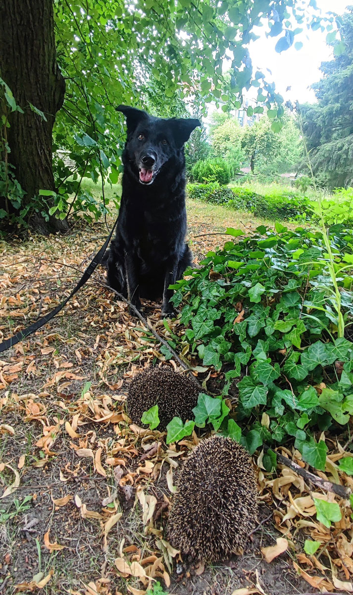 neues Foto November 2025