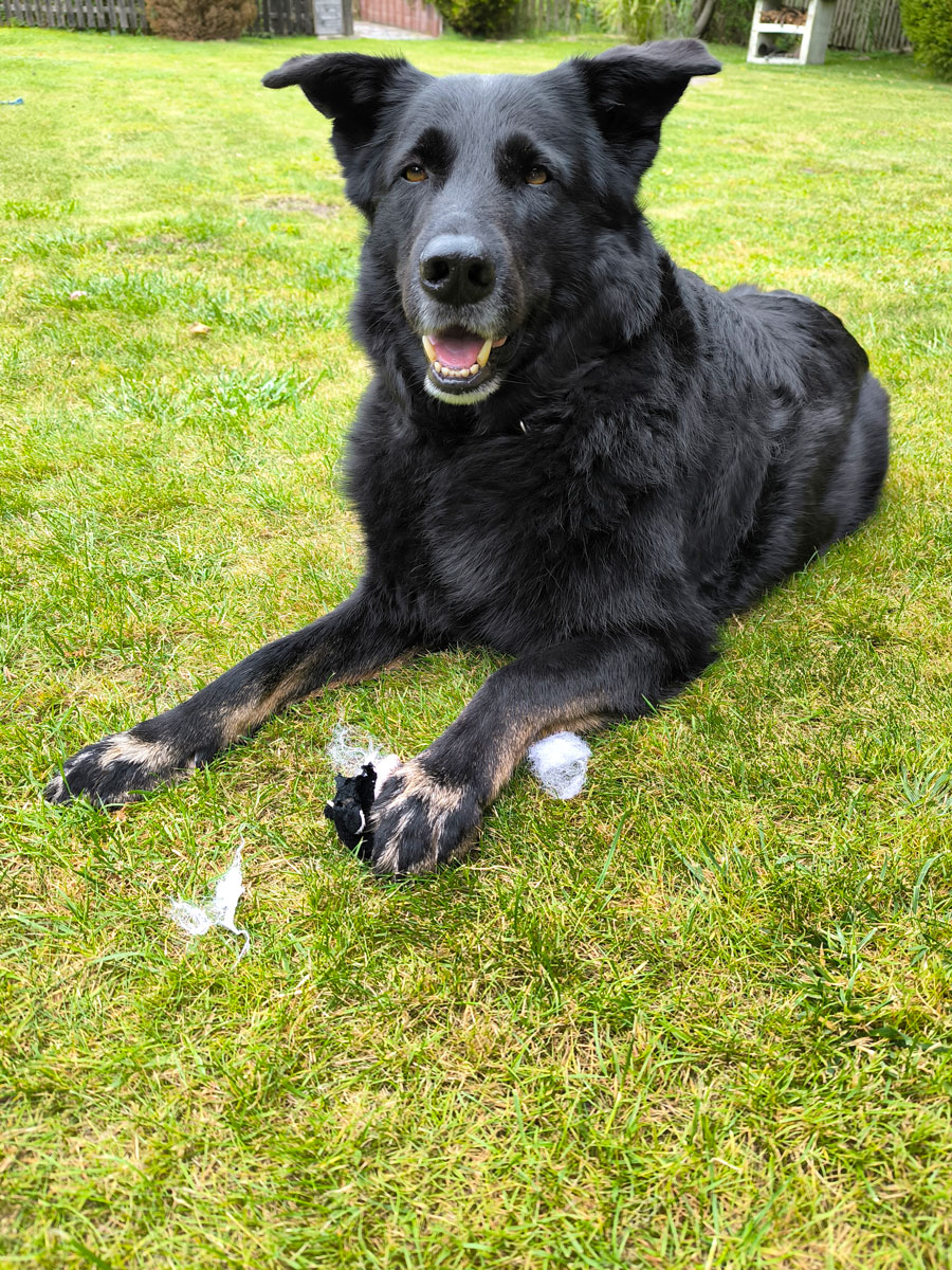 neues Foto November 2025