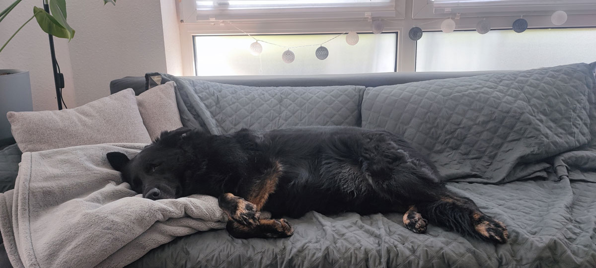 neues Foto November 2025